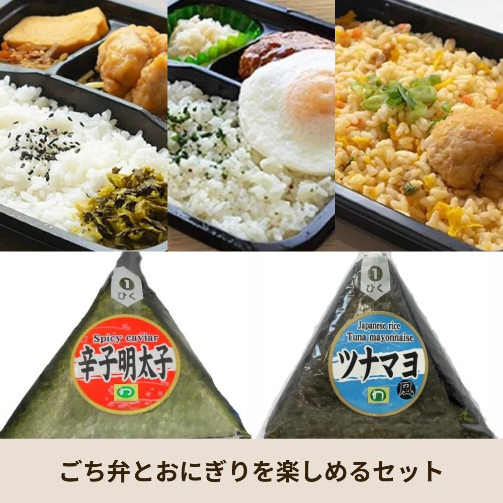 冷凍弁当ごち弁９個＋おにぎり１６個セット